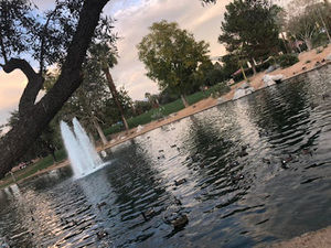 Meet your Posher, Sam